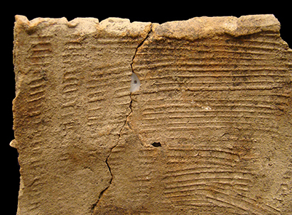 Close-up of the interior surface of a Popes Creek decorated rim sherd from cord-marked vessel#1, from the Hamilton Collection, site 18CH58.